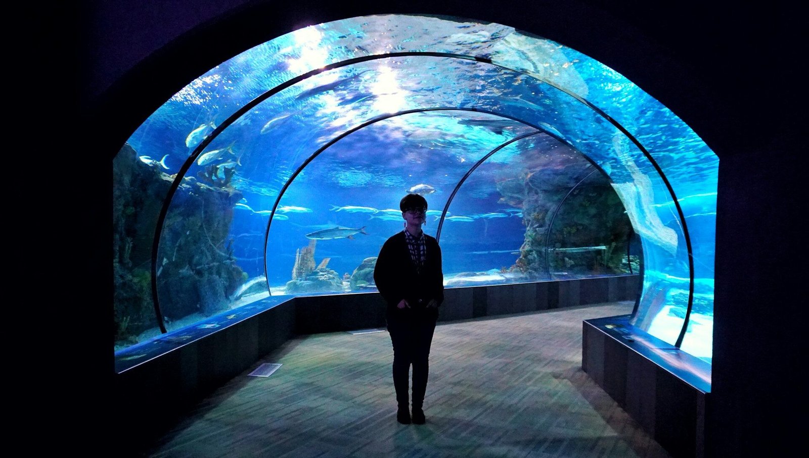 Barcelona Aquarium