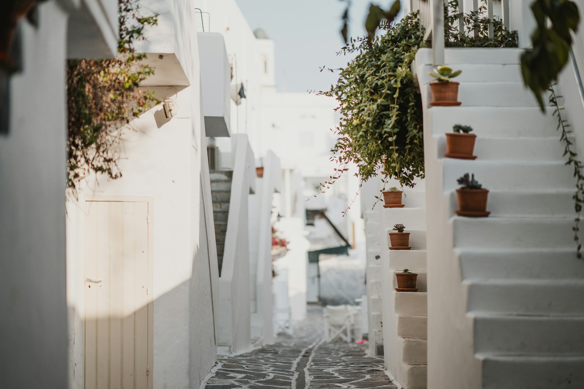 paros 2