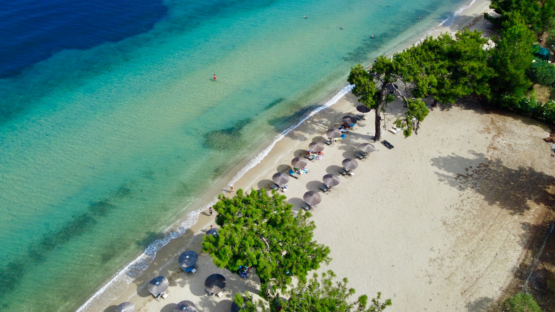 thasos 2