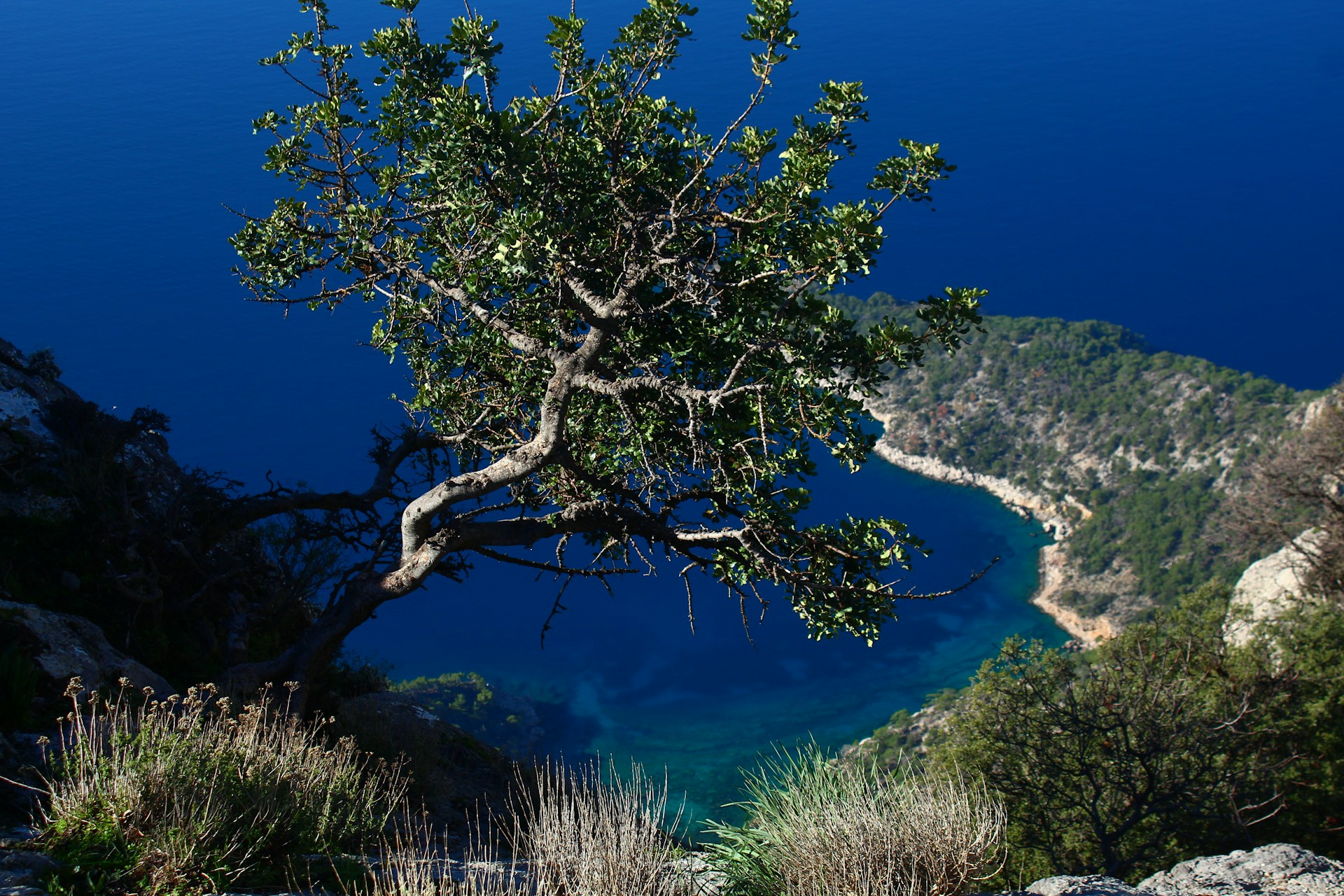 karagatsia-ammouliani_unsplash