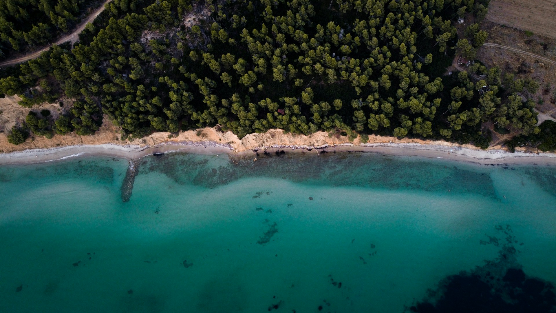 kassandra-unsplash