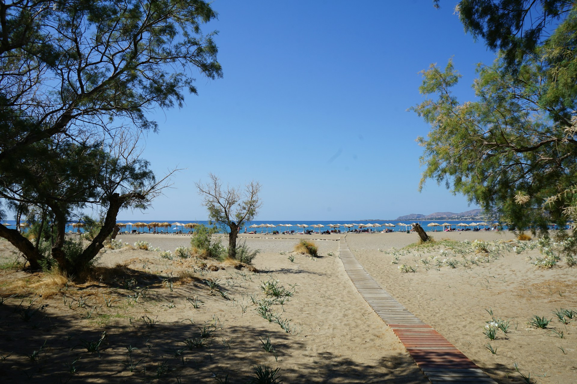 thasos-paradisos-unsplash