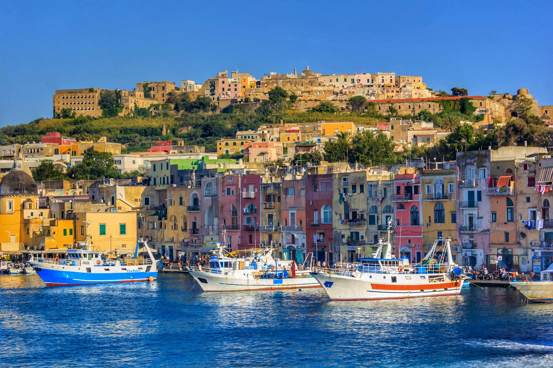 vincenzo-godono-x6j2aY5JqHM-unsplash