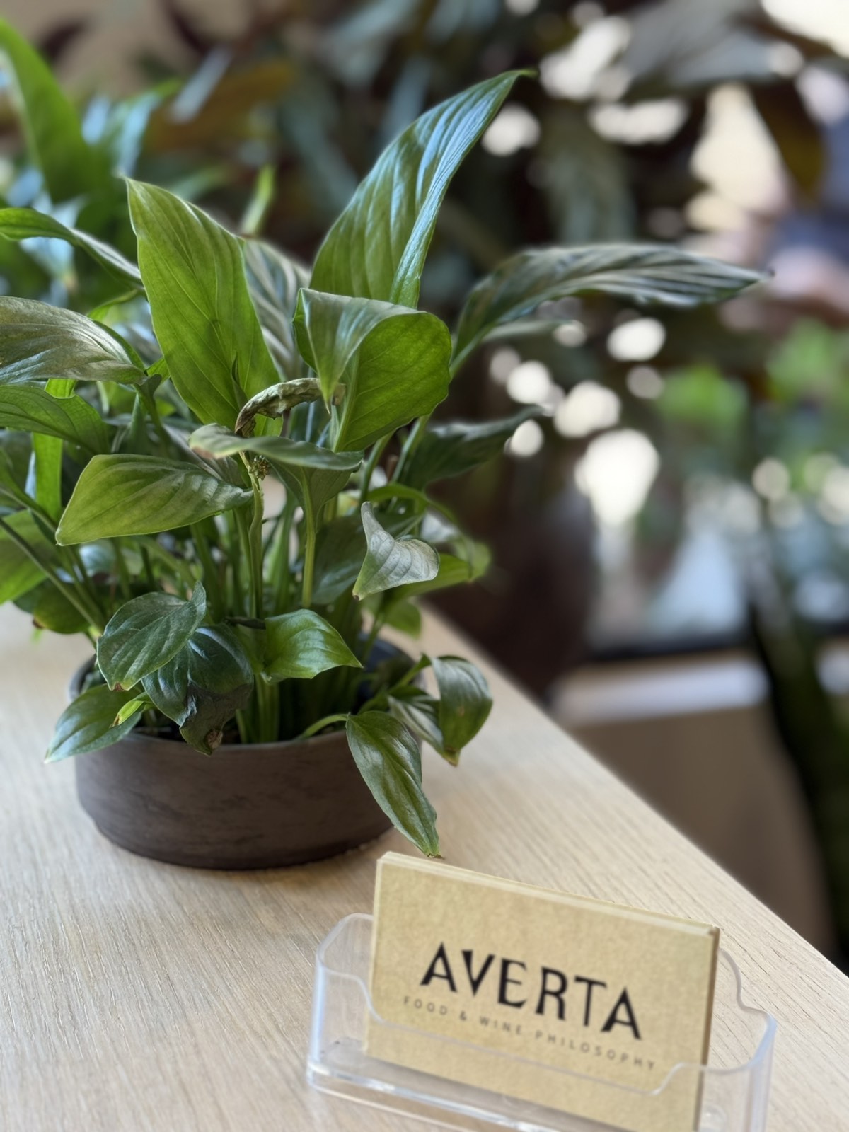 averta_6