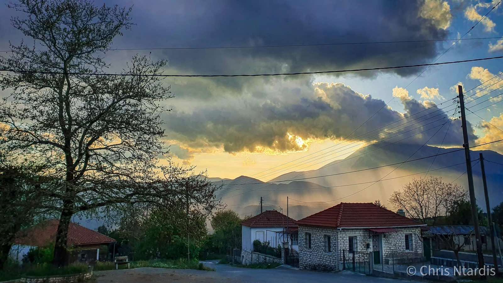 μαυροδαφνη_10