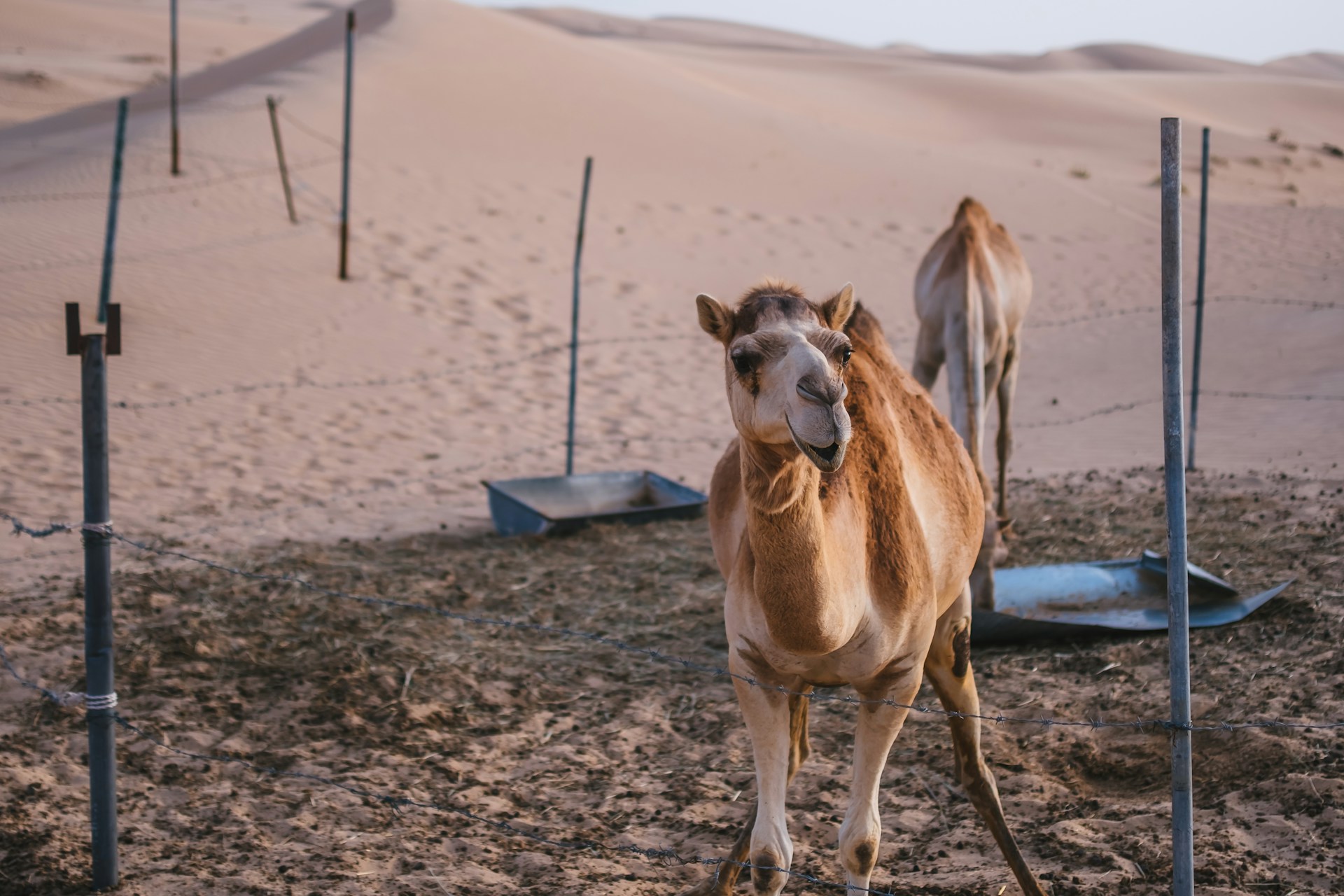 abu dhabi_6-unsplash