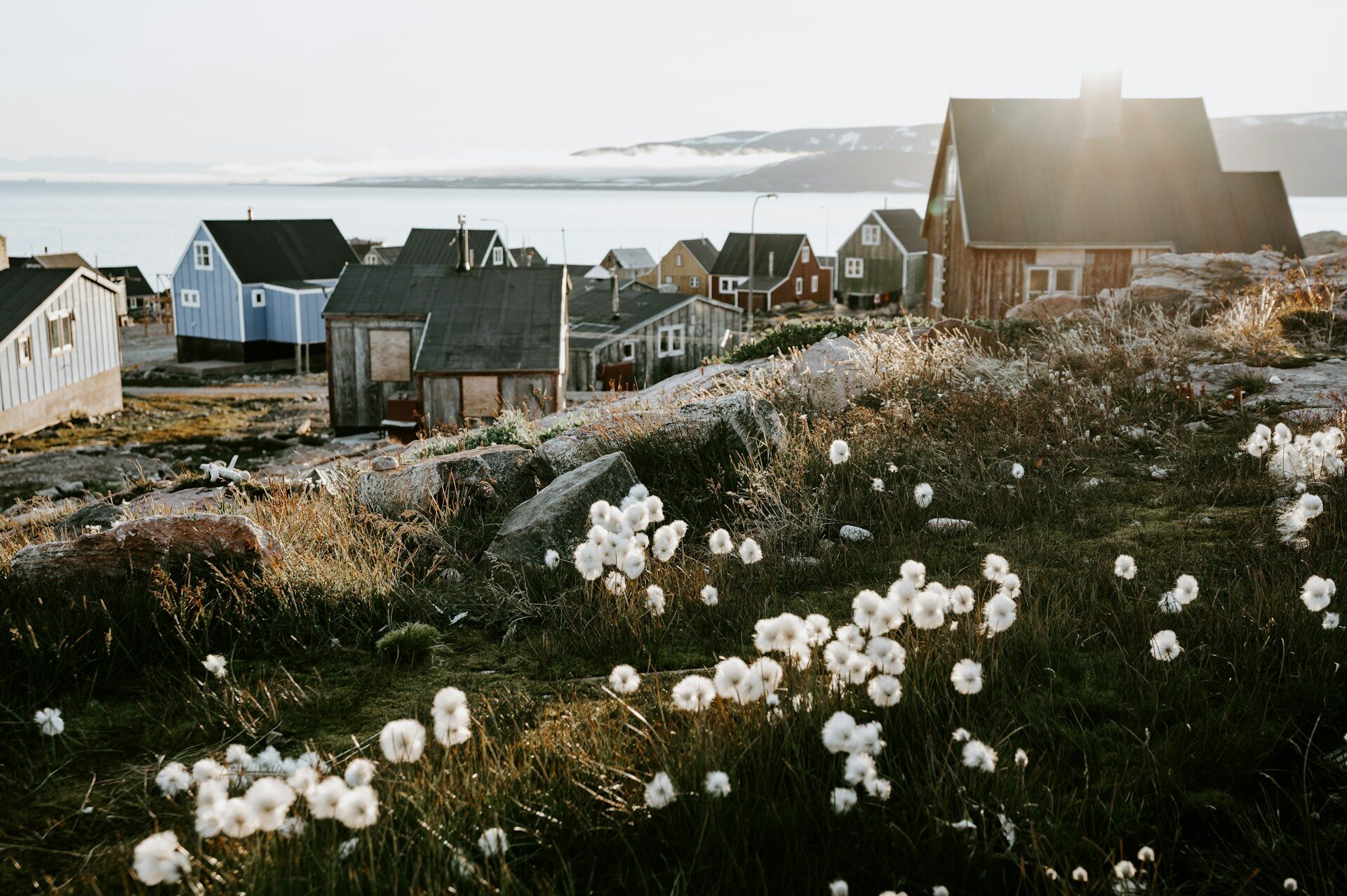 greenland_4-unsplash