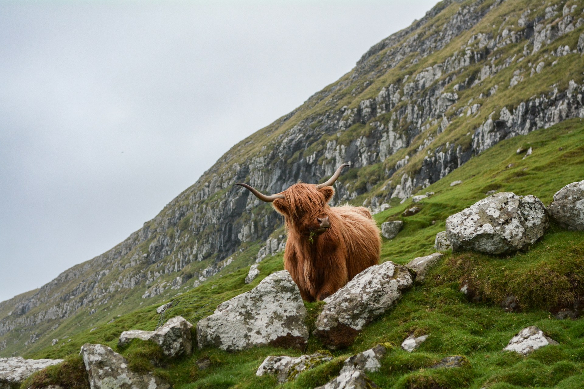 scotland_4unsplash