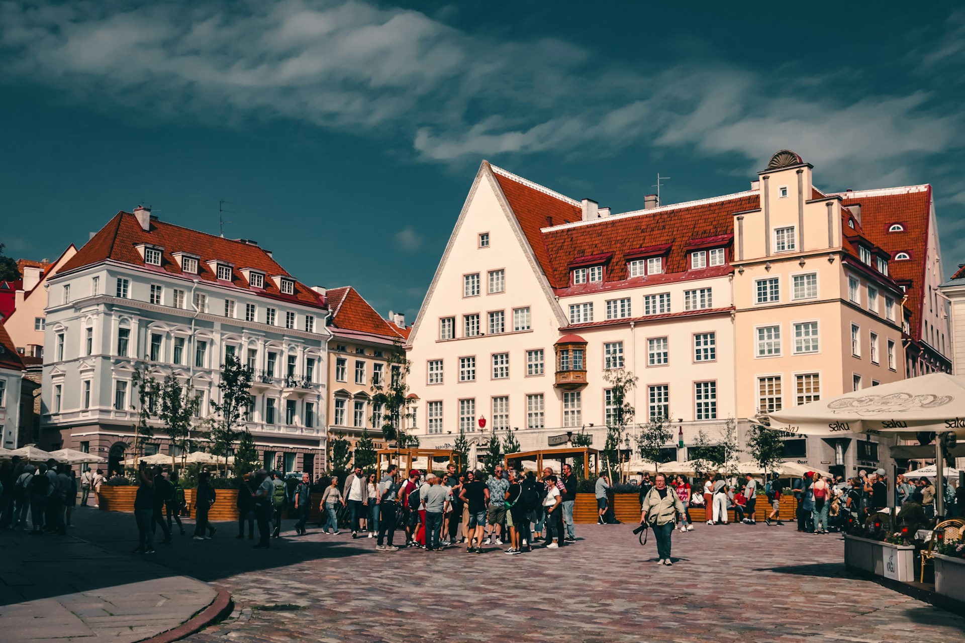 estonia_1-unsplash