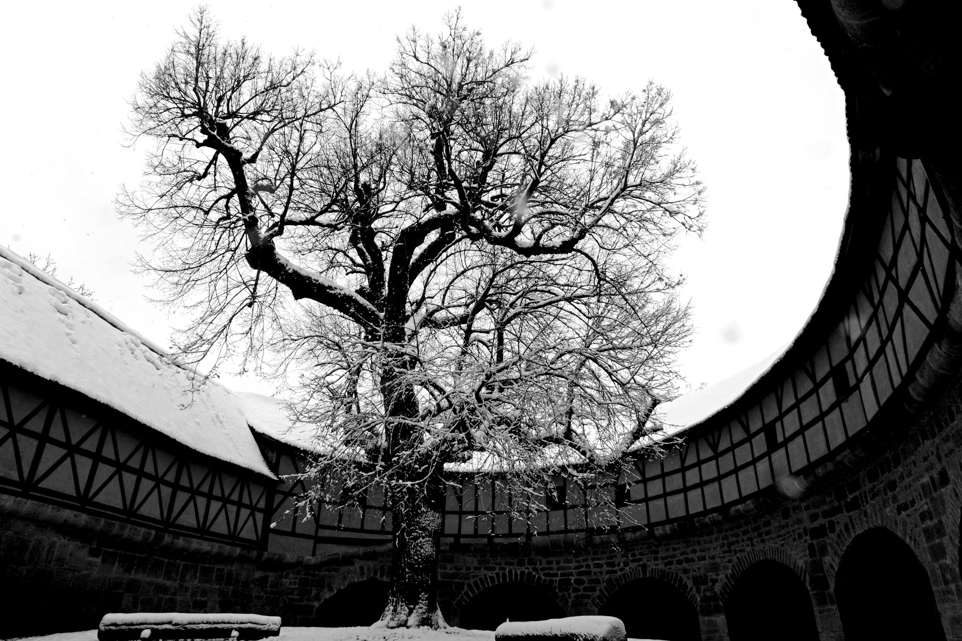 Rothenburg)_2-unsplash