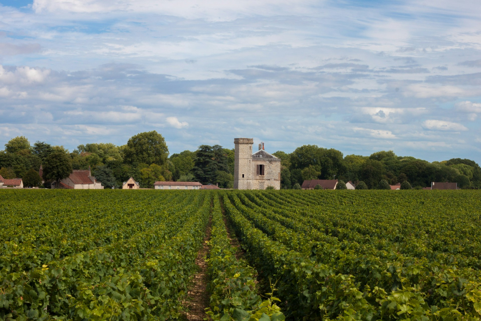 burgundy france_1-unsplash