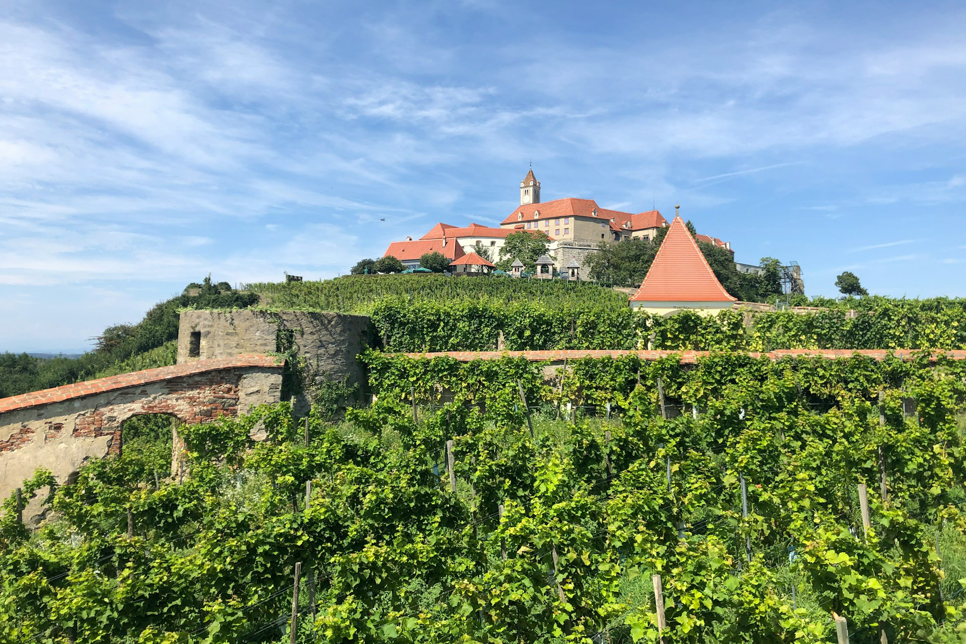 germany_vineyard_1-unsplash