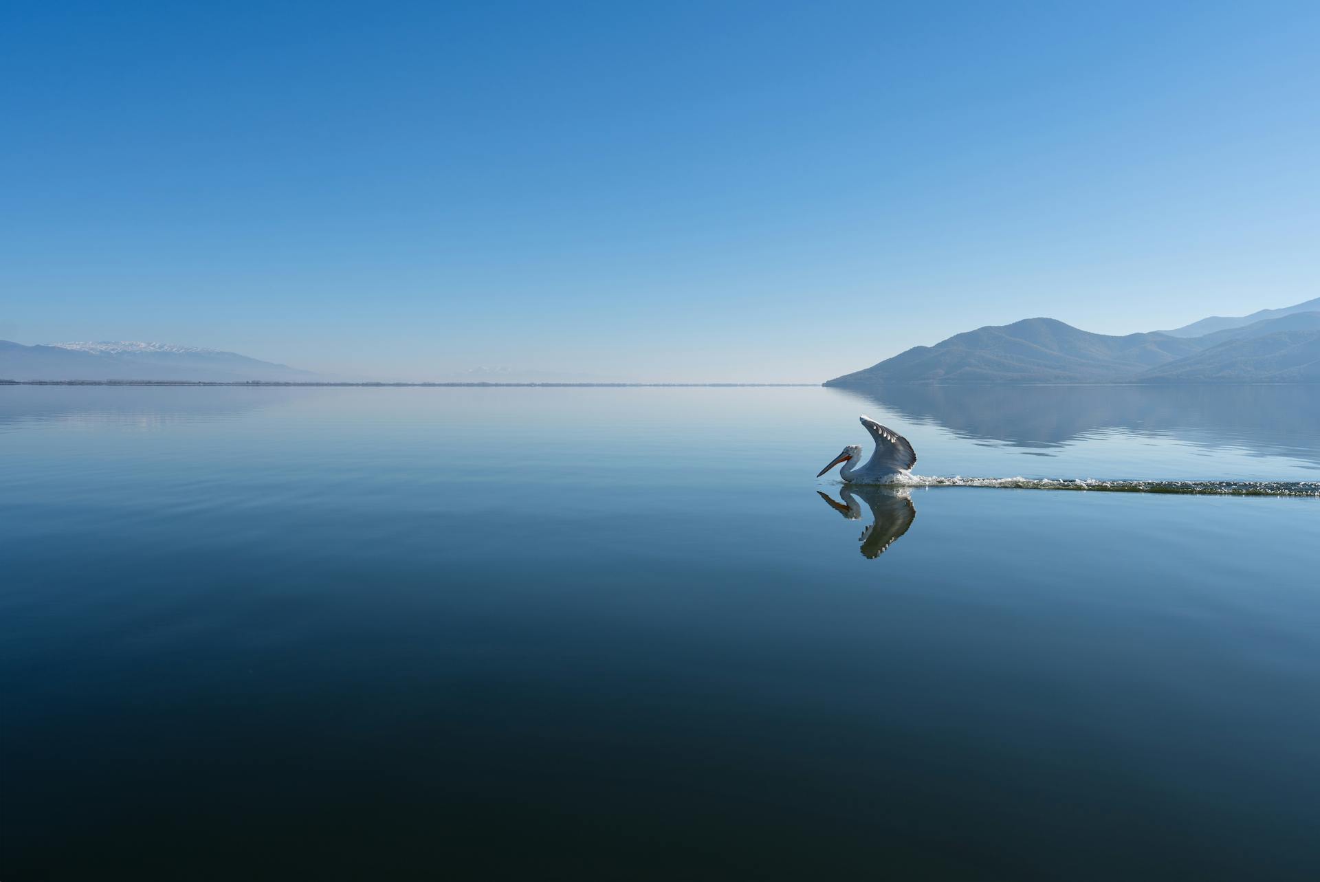 kerkini_lakepexels
