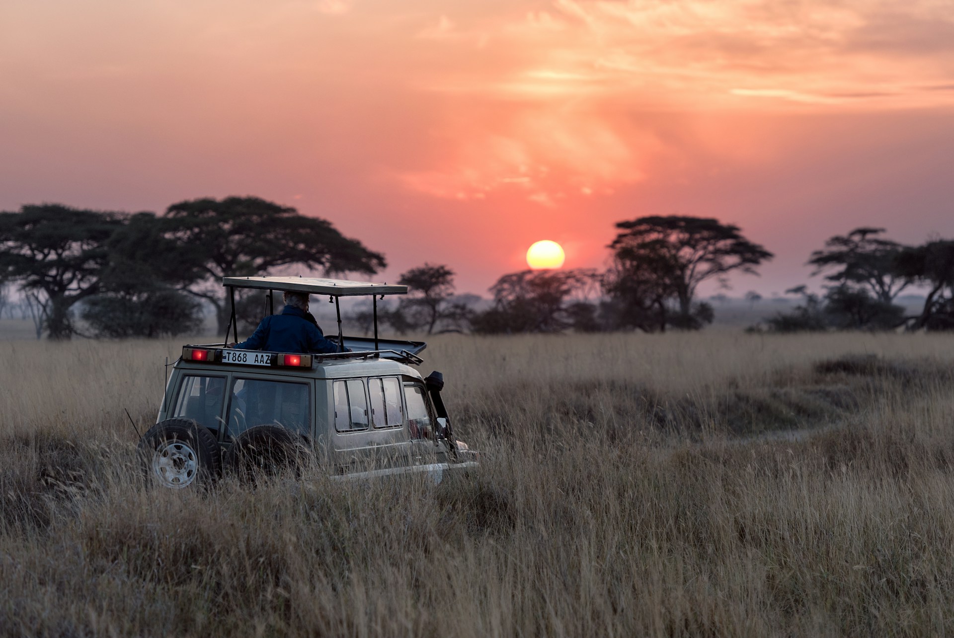 safari-unsplash
