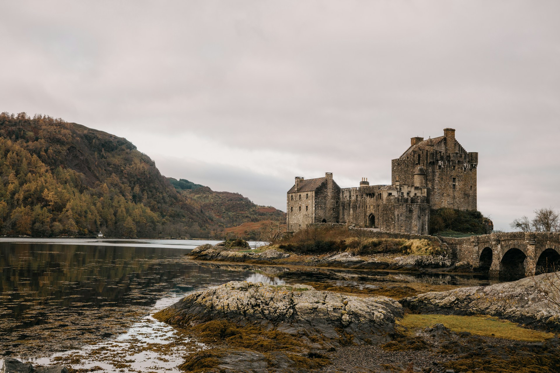 scotland_castle_1-unsplash