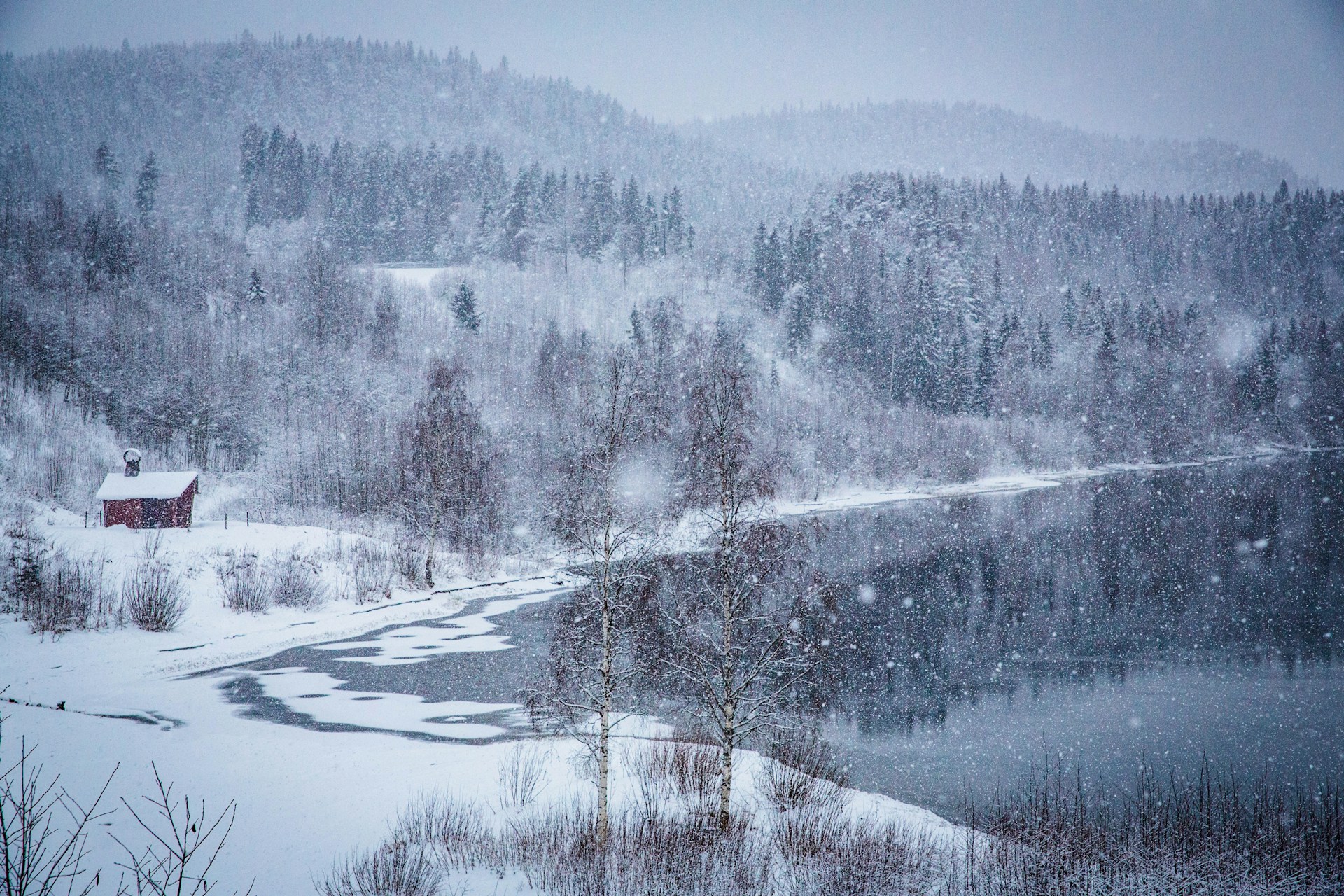 sweden_5unsplash