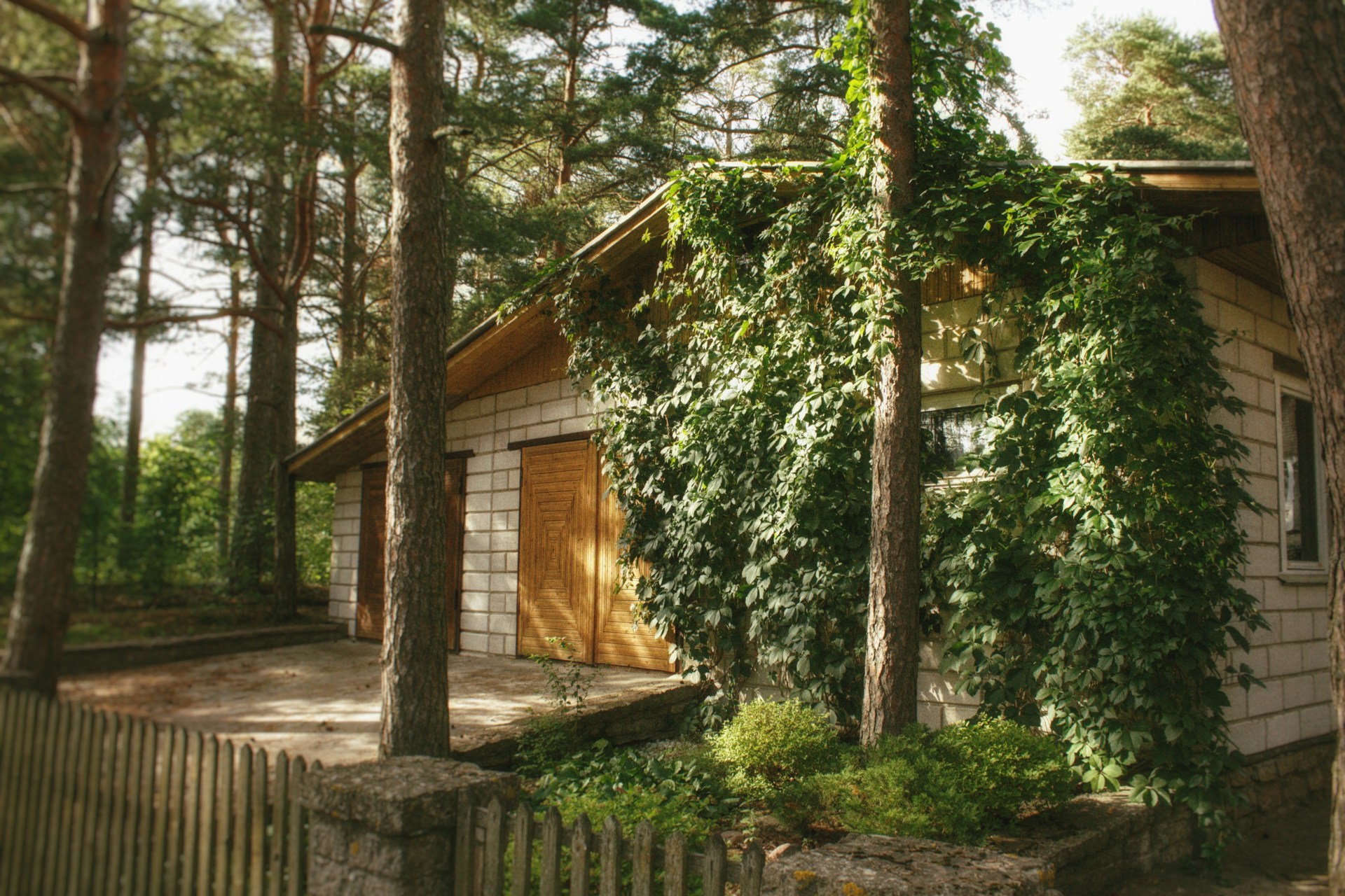sweden_8unsplash