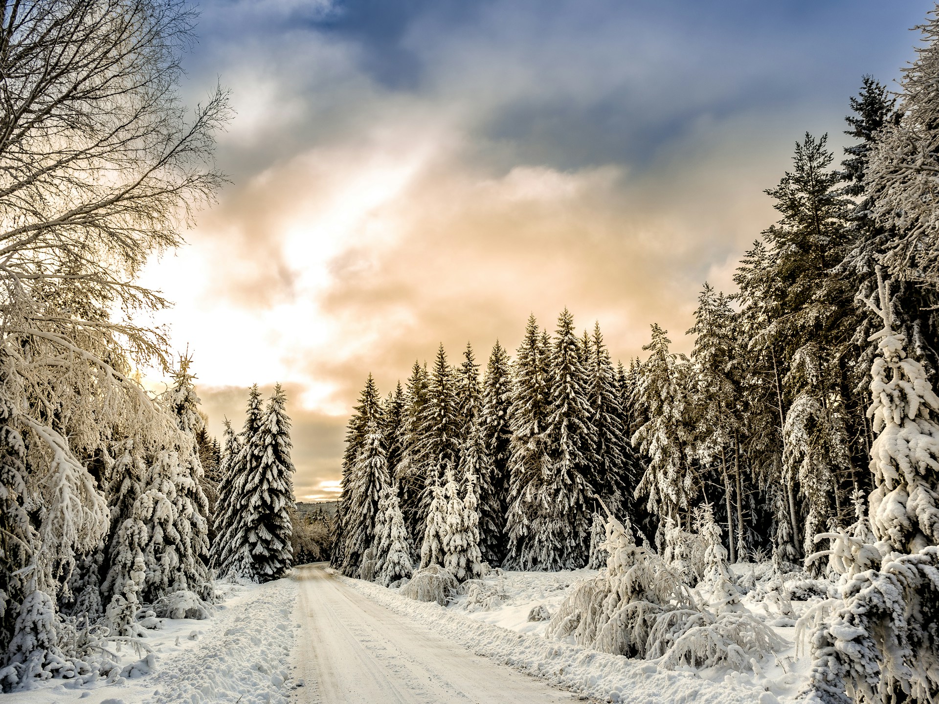 sweden_9unsplash