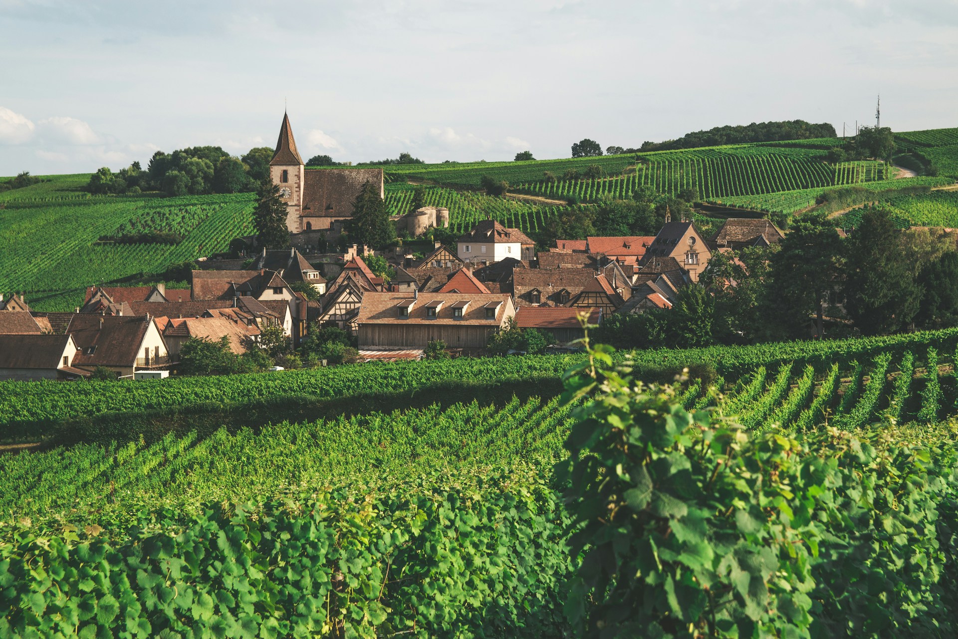 wine_3unsplash