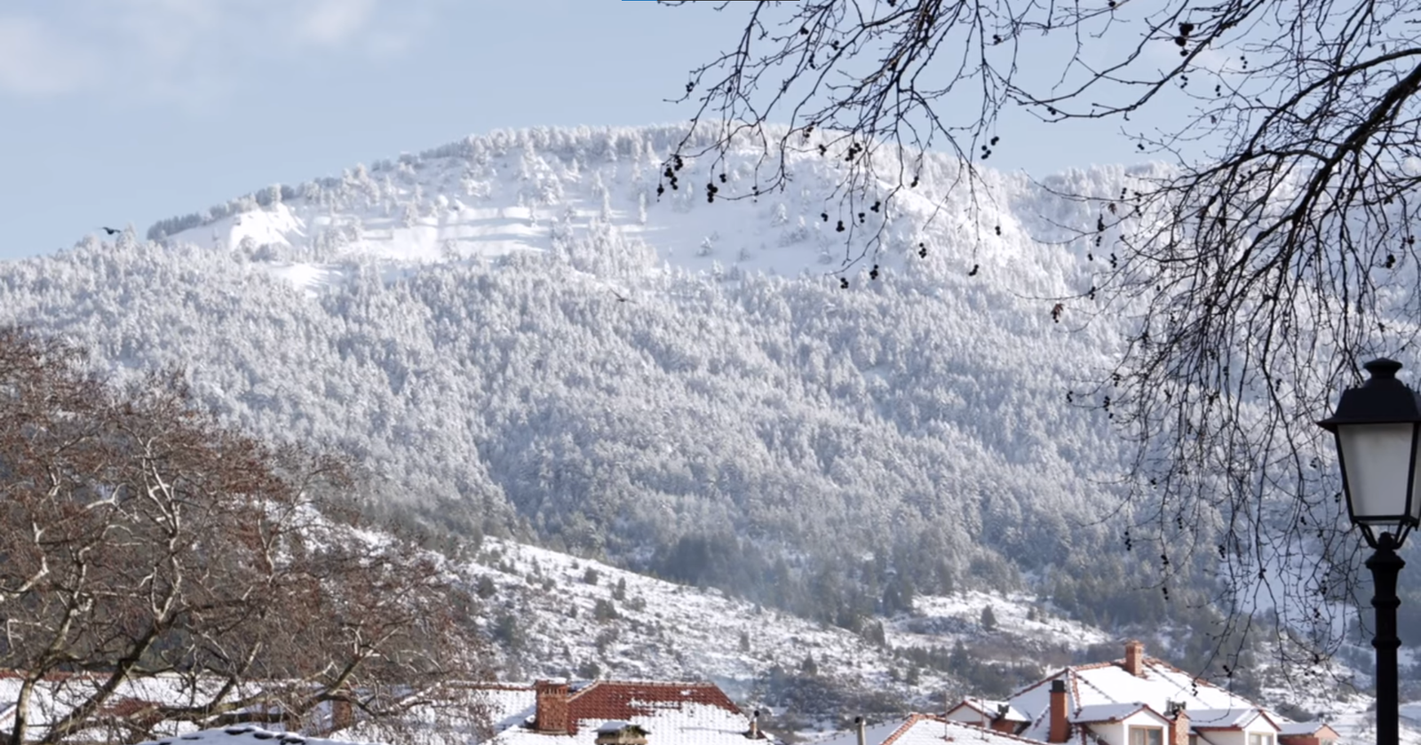 Screenshot 2025-11-27 162521