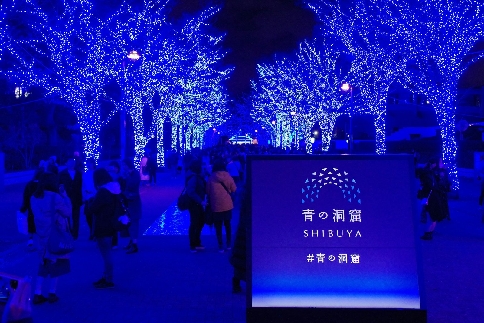 tokyo_christmas_1-unsplash