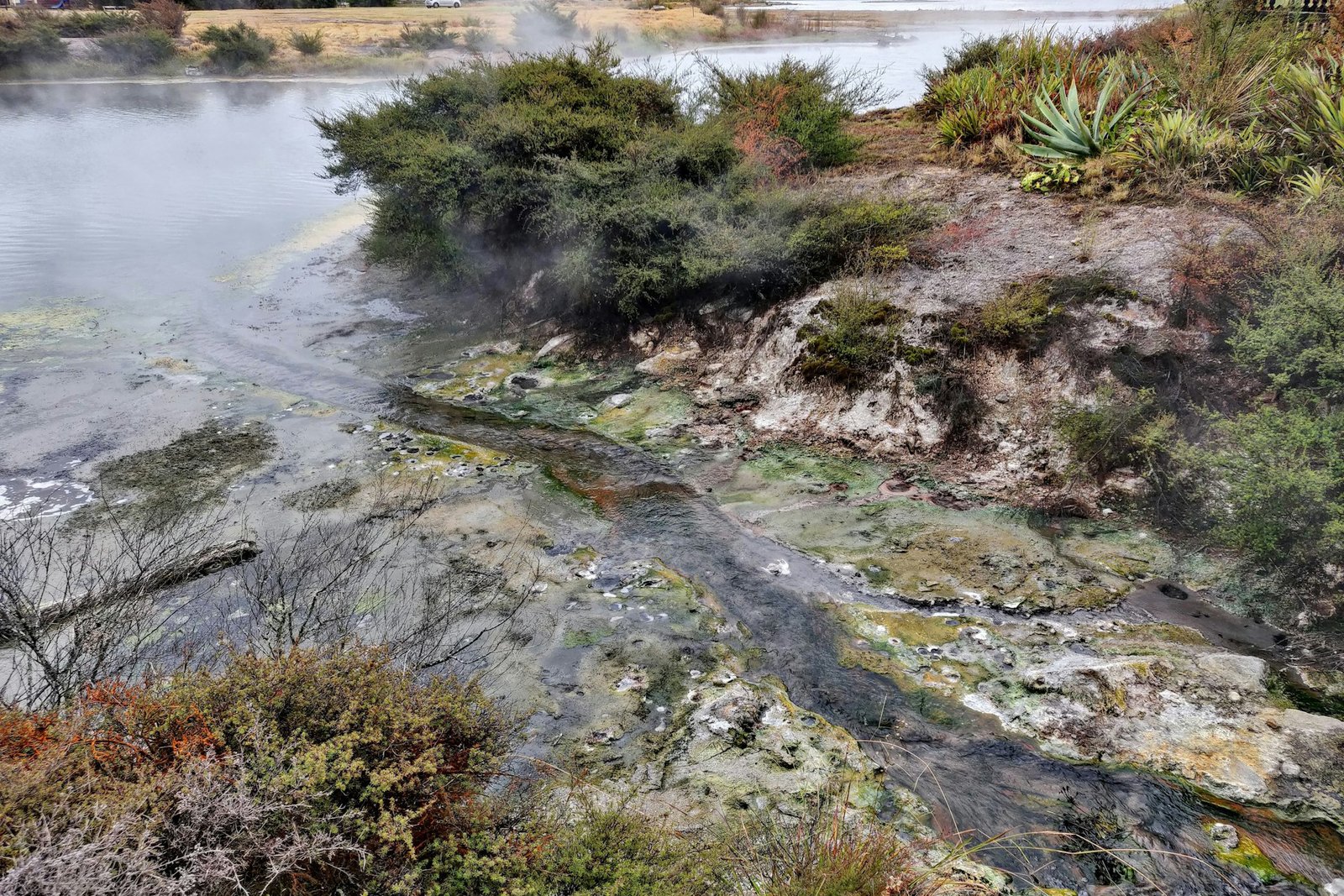 new_zealand_rotorua_1-unsplash