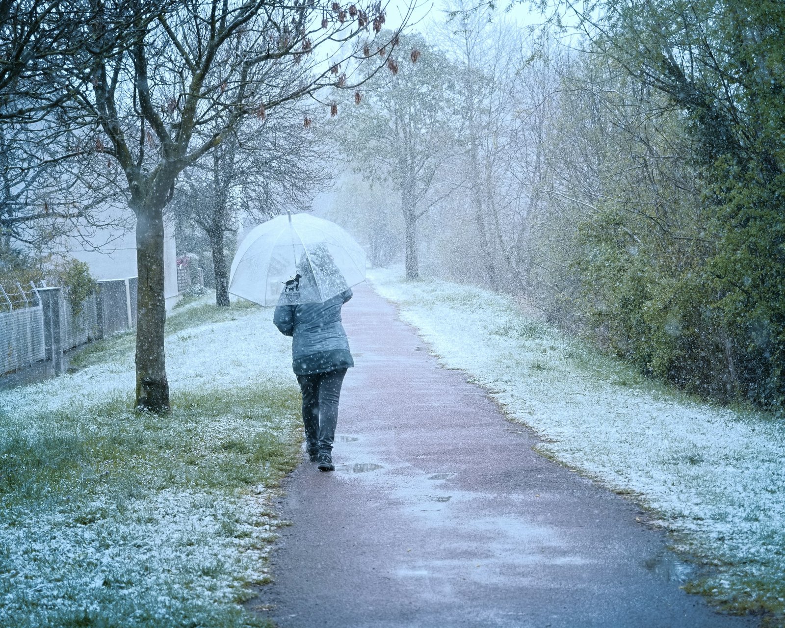 snowing_walk_1-unsplash