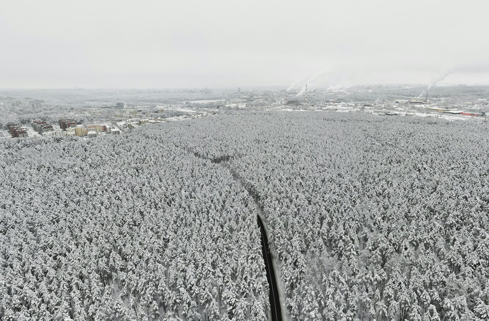 vilnius_christmas_2-unsplash