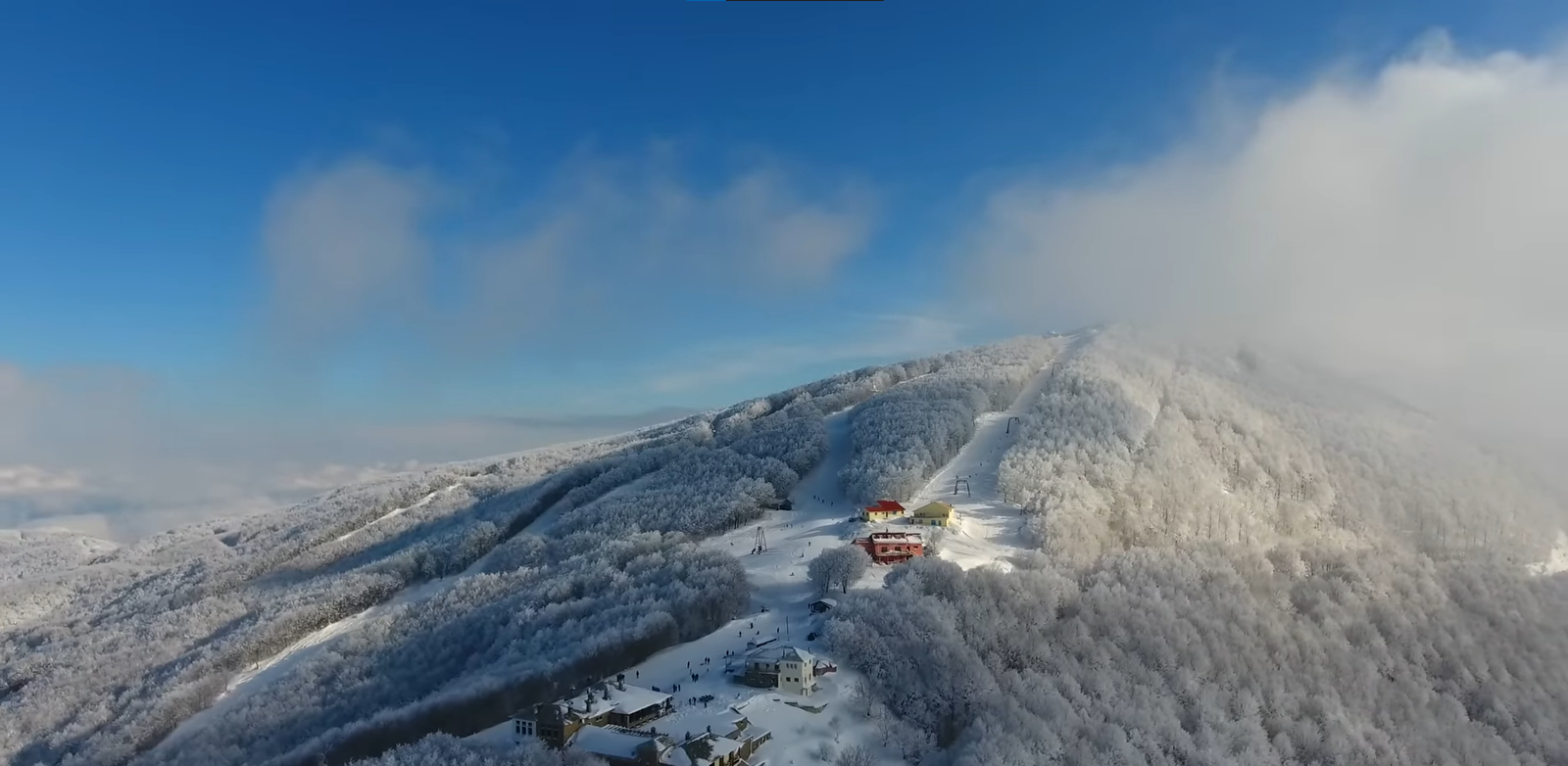 Screenshot 2026-01-22 151223