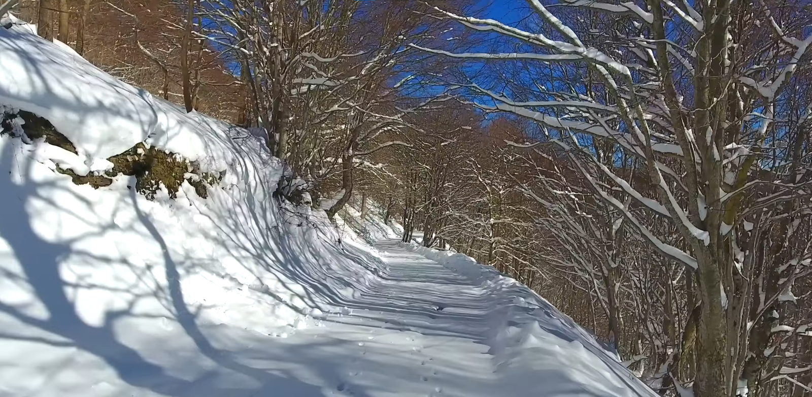 Screenshot 2026-01-22 152112