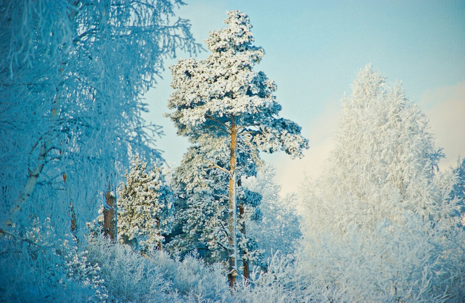 siberia oymyakon_2-unsplash