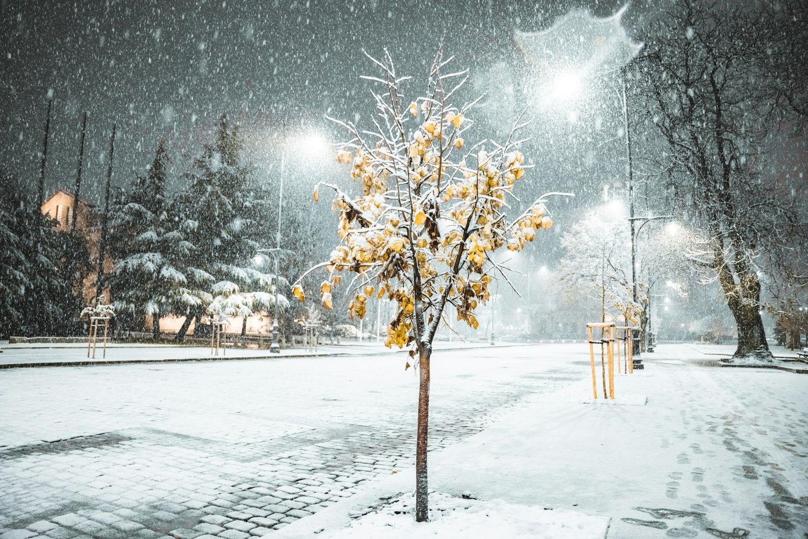 sofia_bulgaria_winter-unsplash