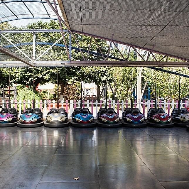 489370349_9973786412674229_60168931890304722_n