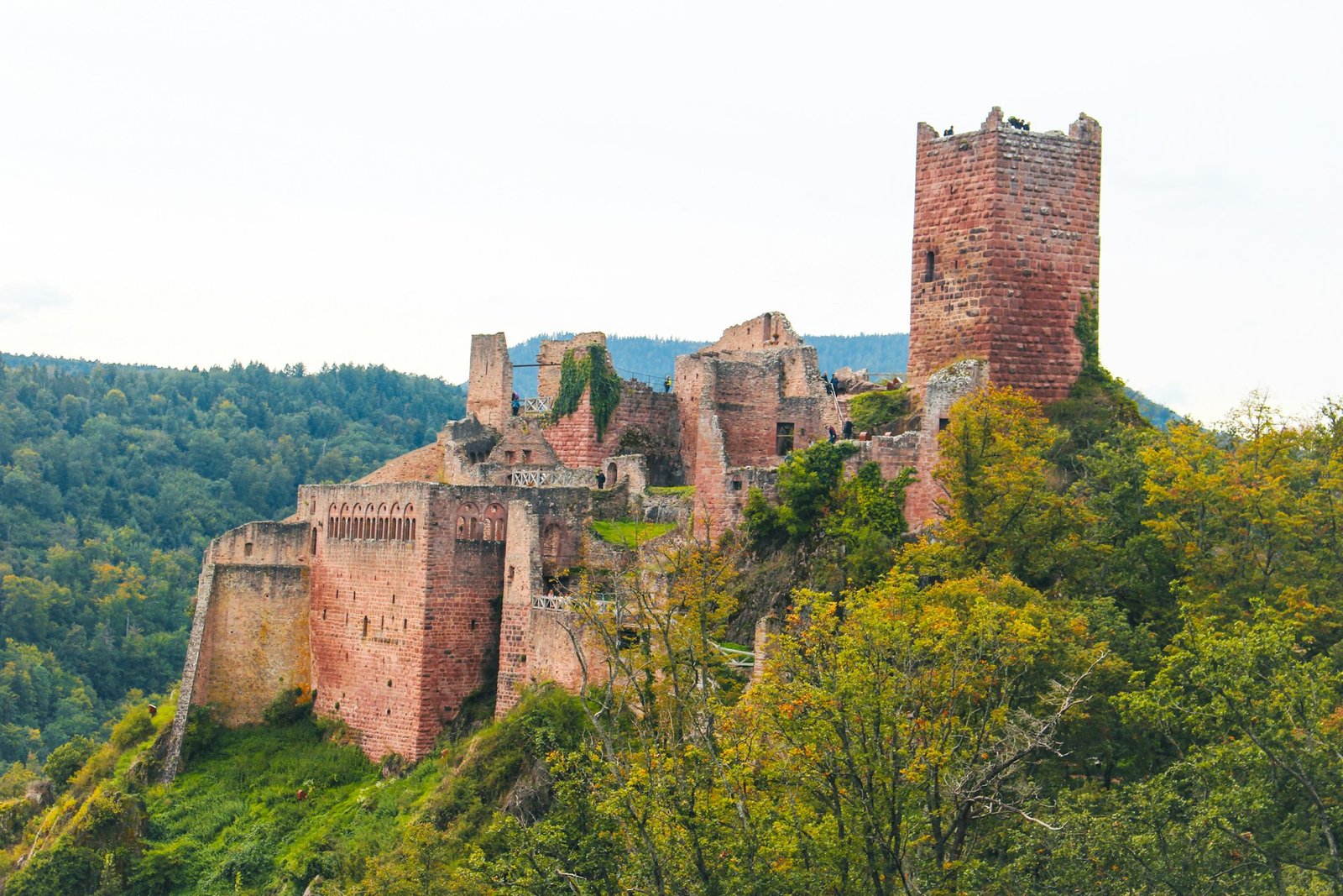 Ribeauvillé-1-unsplash