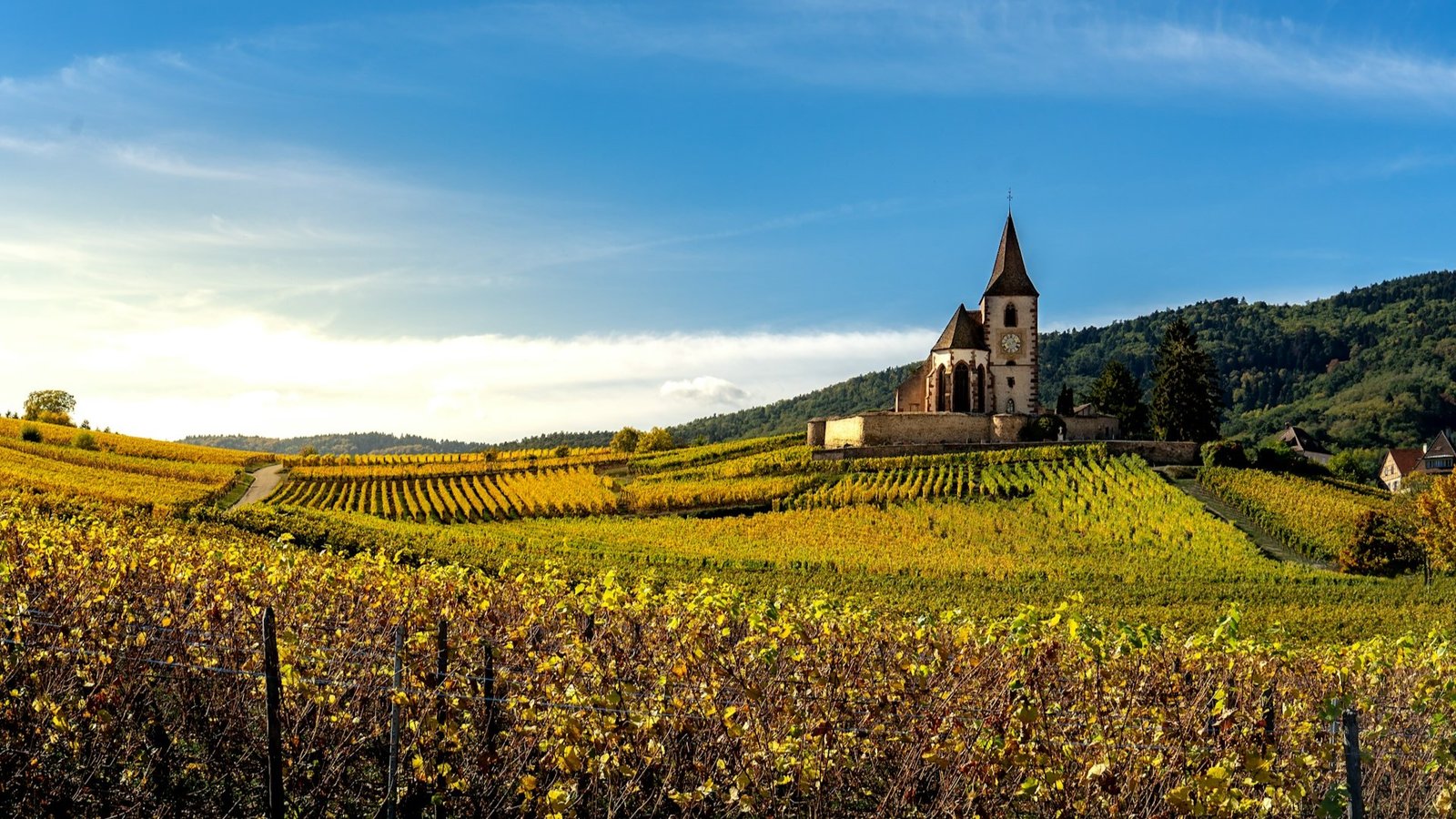 Riquewihr-1-unsplash