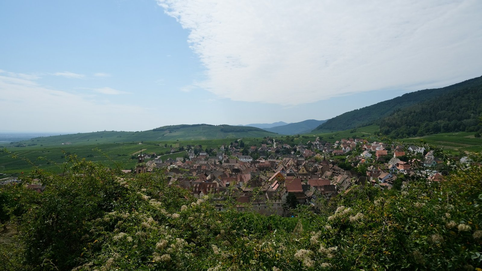 Riquewihr-2-unsplash