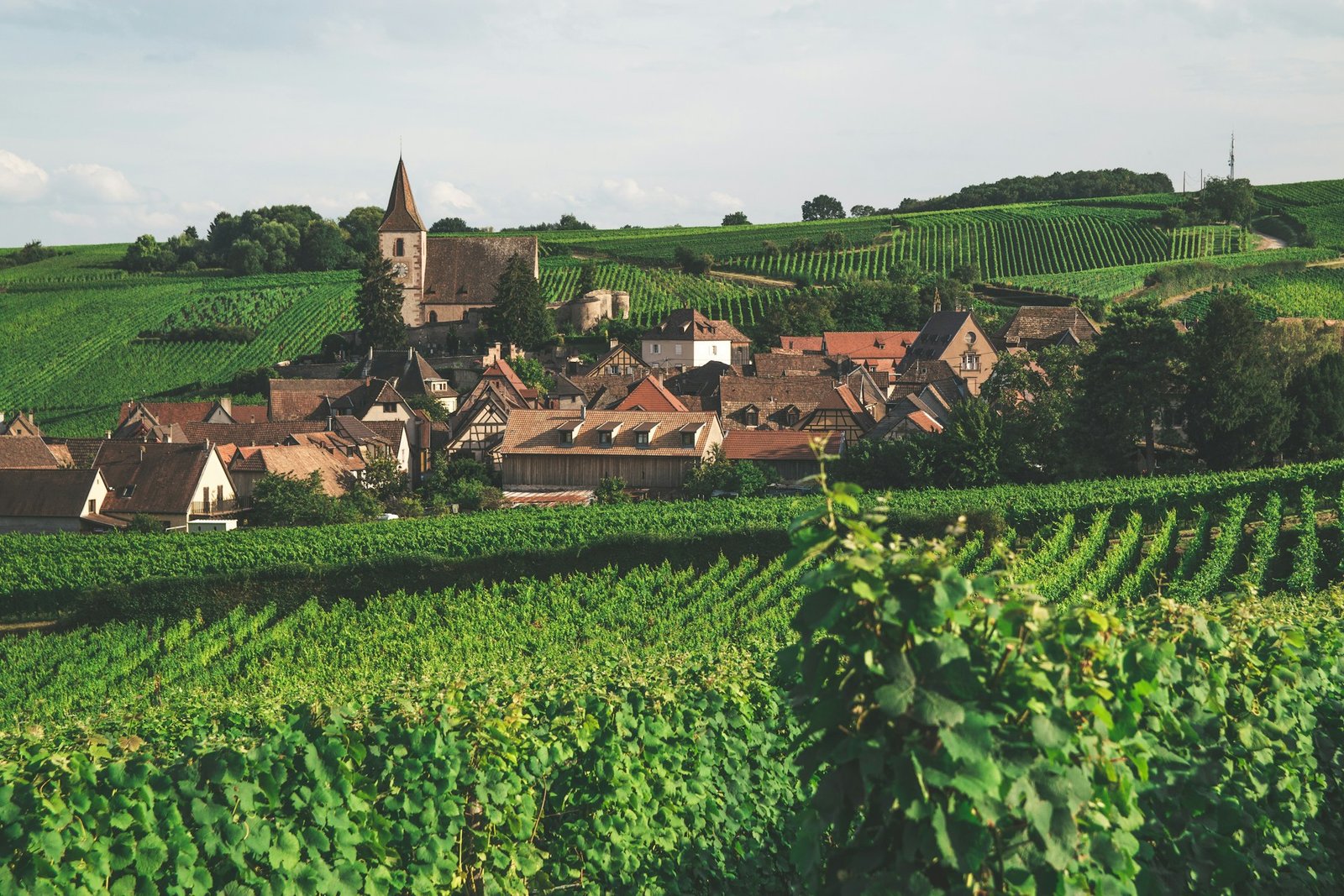 alsace-1-unsplash