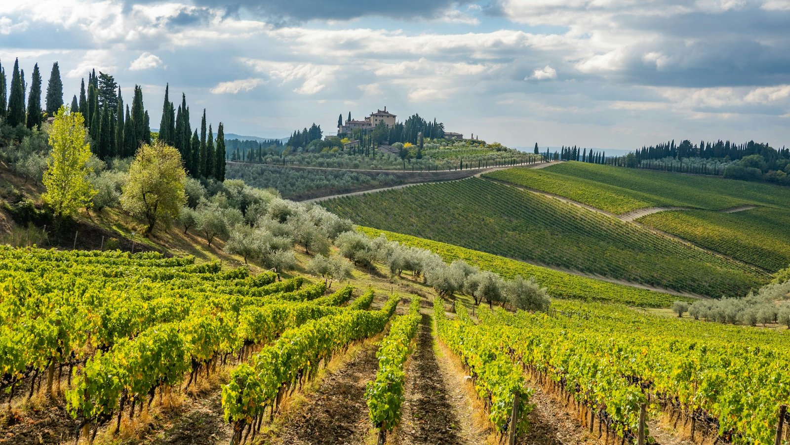 chianti-toscany-1-unsplash