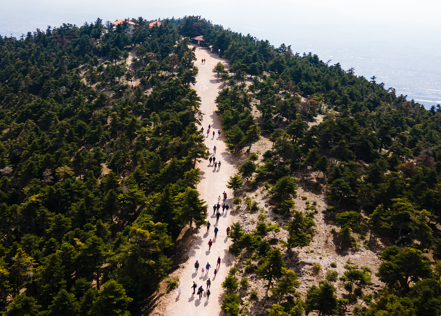 Πεζοπορία στην Πάρνηθα