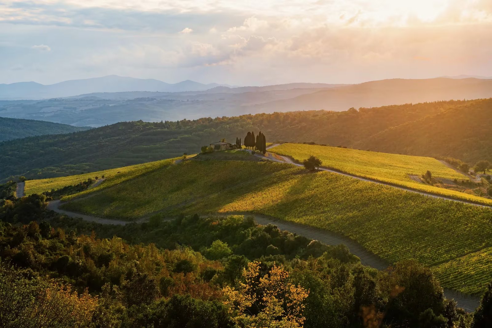 RWCDB_3-0_Brand-com_Assets_Destination_Onproperty_Aerials_CapannaVineyard