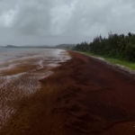 SOS στην Καραϊβική: το φυσικό φαινόμενο που απειλεί Κανκούν και εξωτικούς παραδείσους το 2026