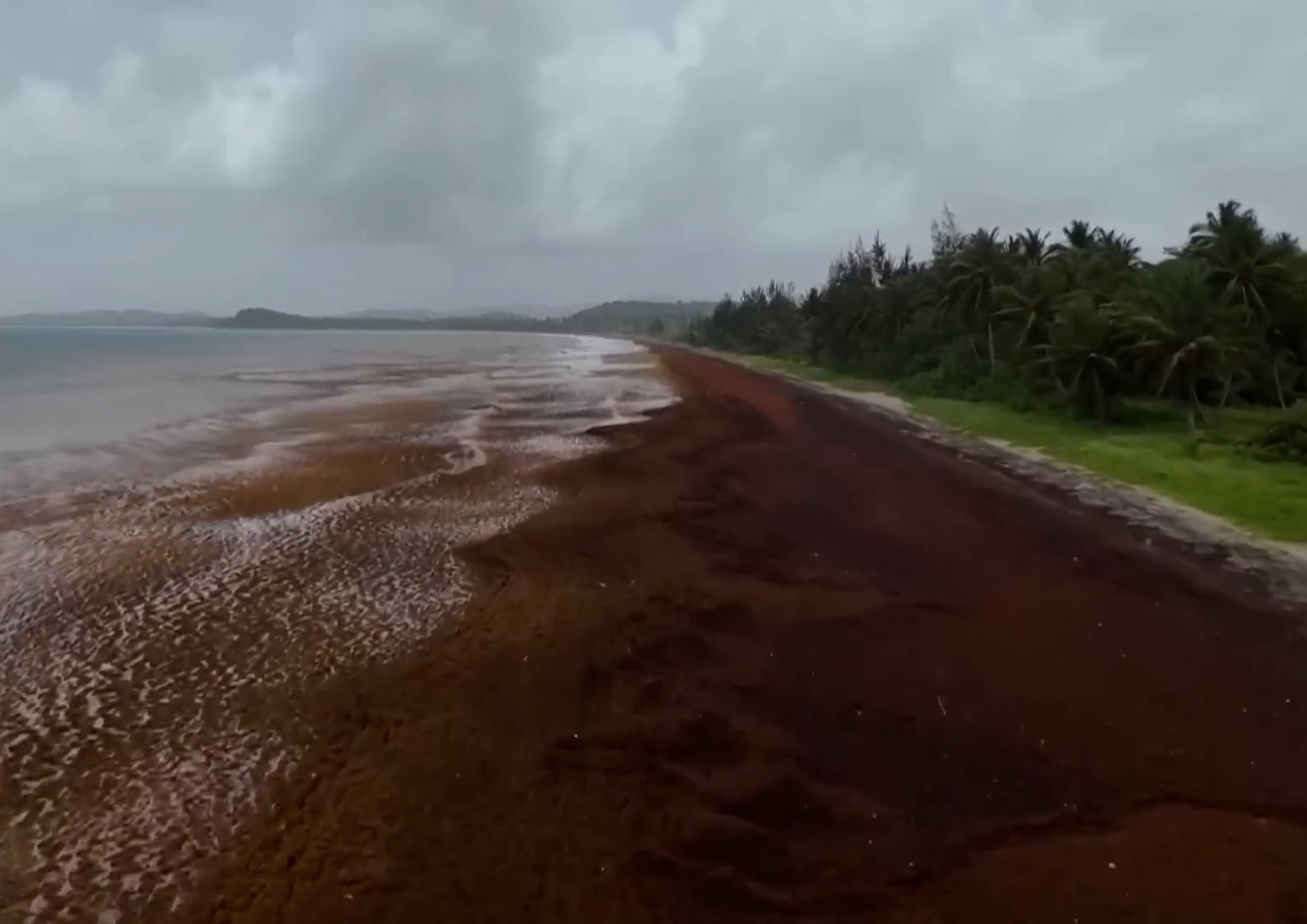 SOS στην Καραϊβική: το φυσικό φαινόμενο που απειλεί Κανκούν και εξωτικούς παραδείσους το 2026