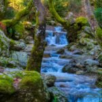 Πρωτομαγιά: Το τριήμερο που μυρίζει άνοιξη και απόδραση