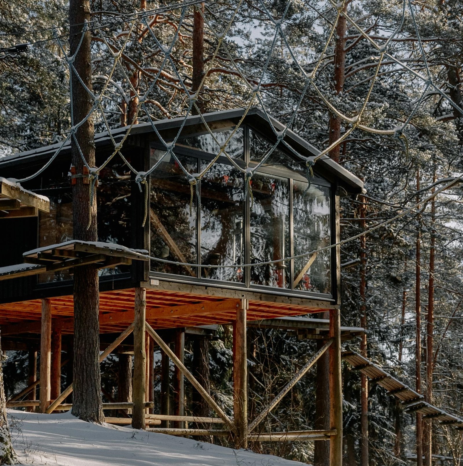 pexels-miami302-treehotel