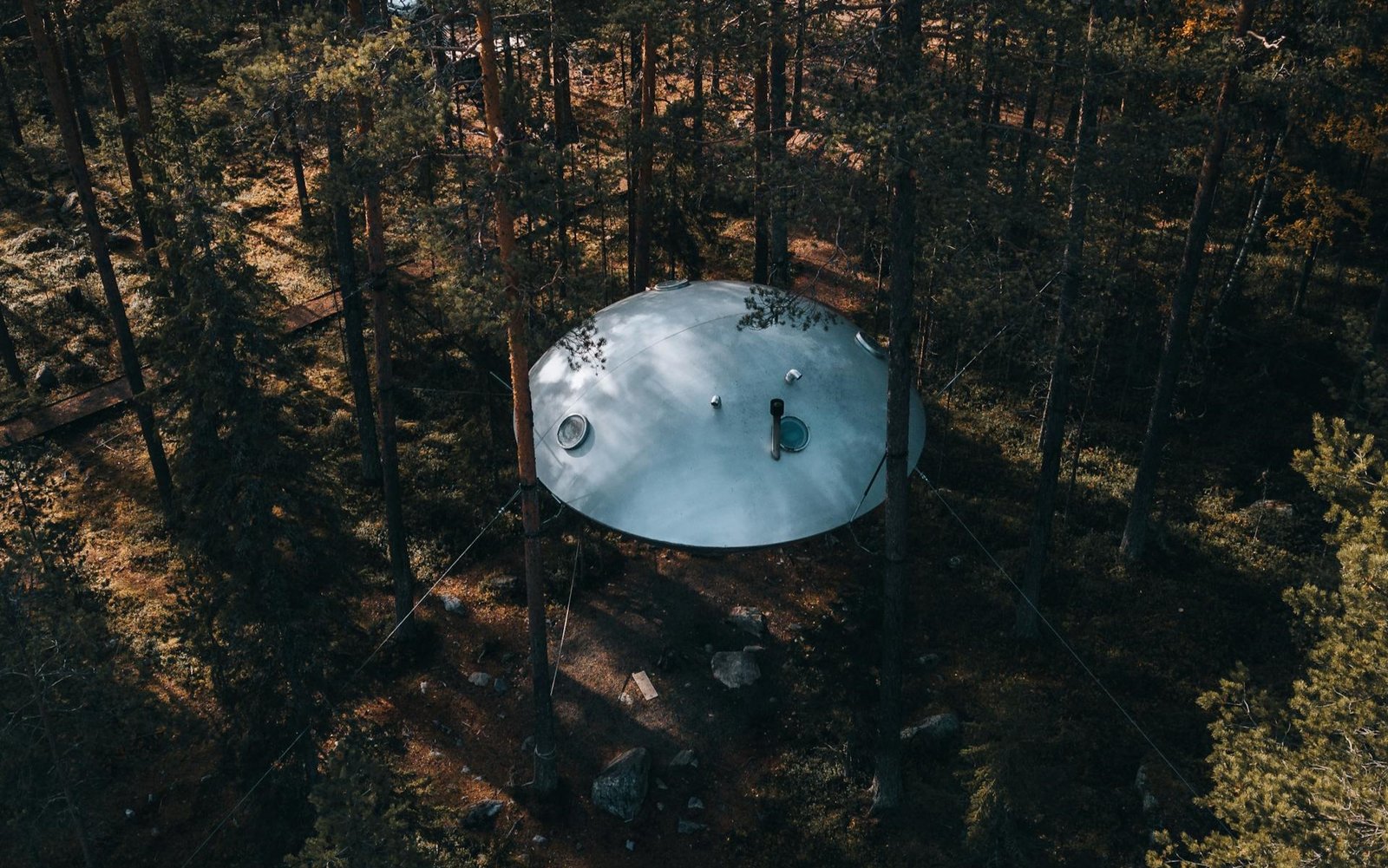 pexels-stijn-dijkstra -treehotel