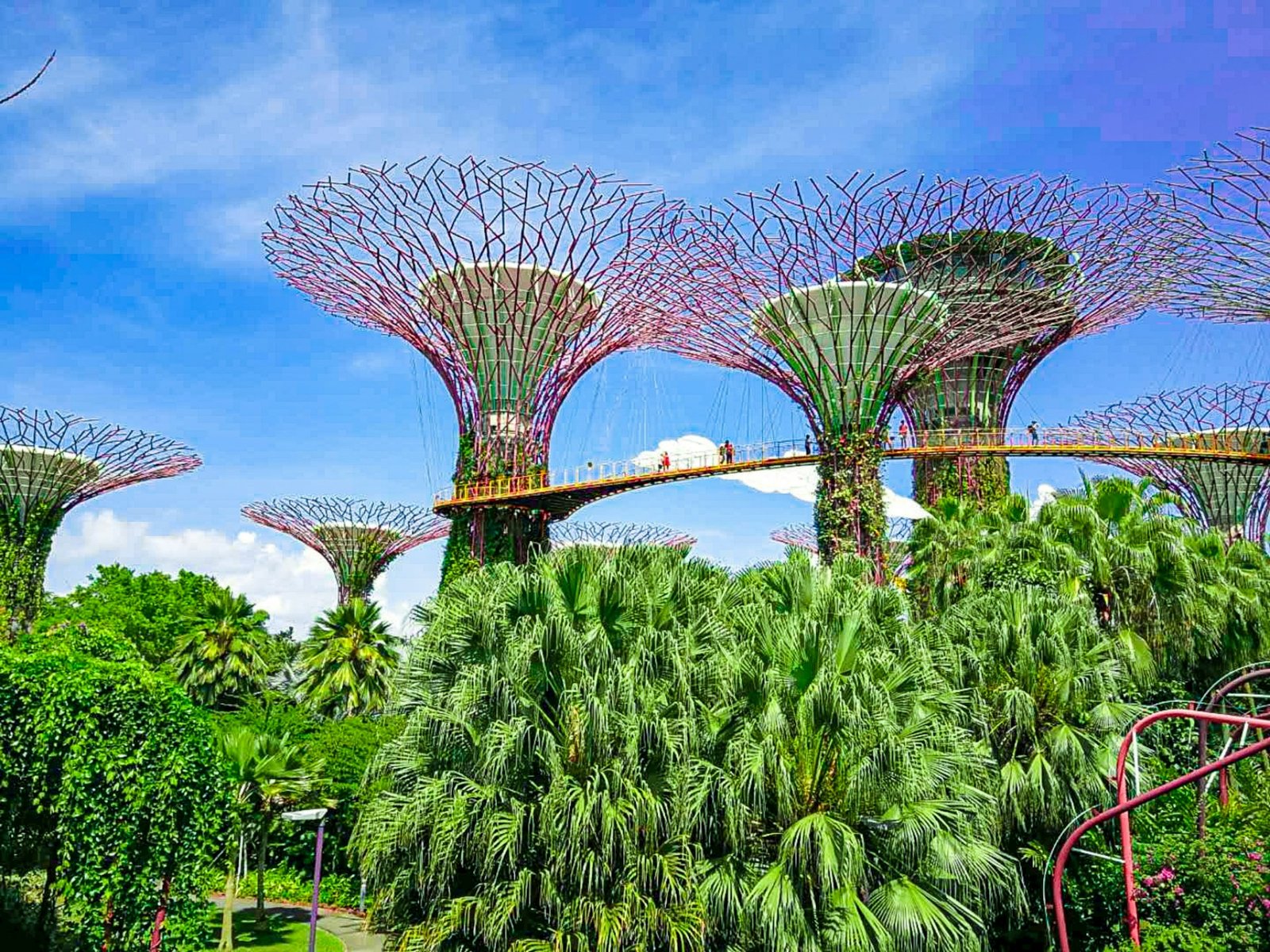 Singapore-Changi-Airport-2unsplash