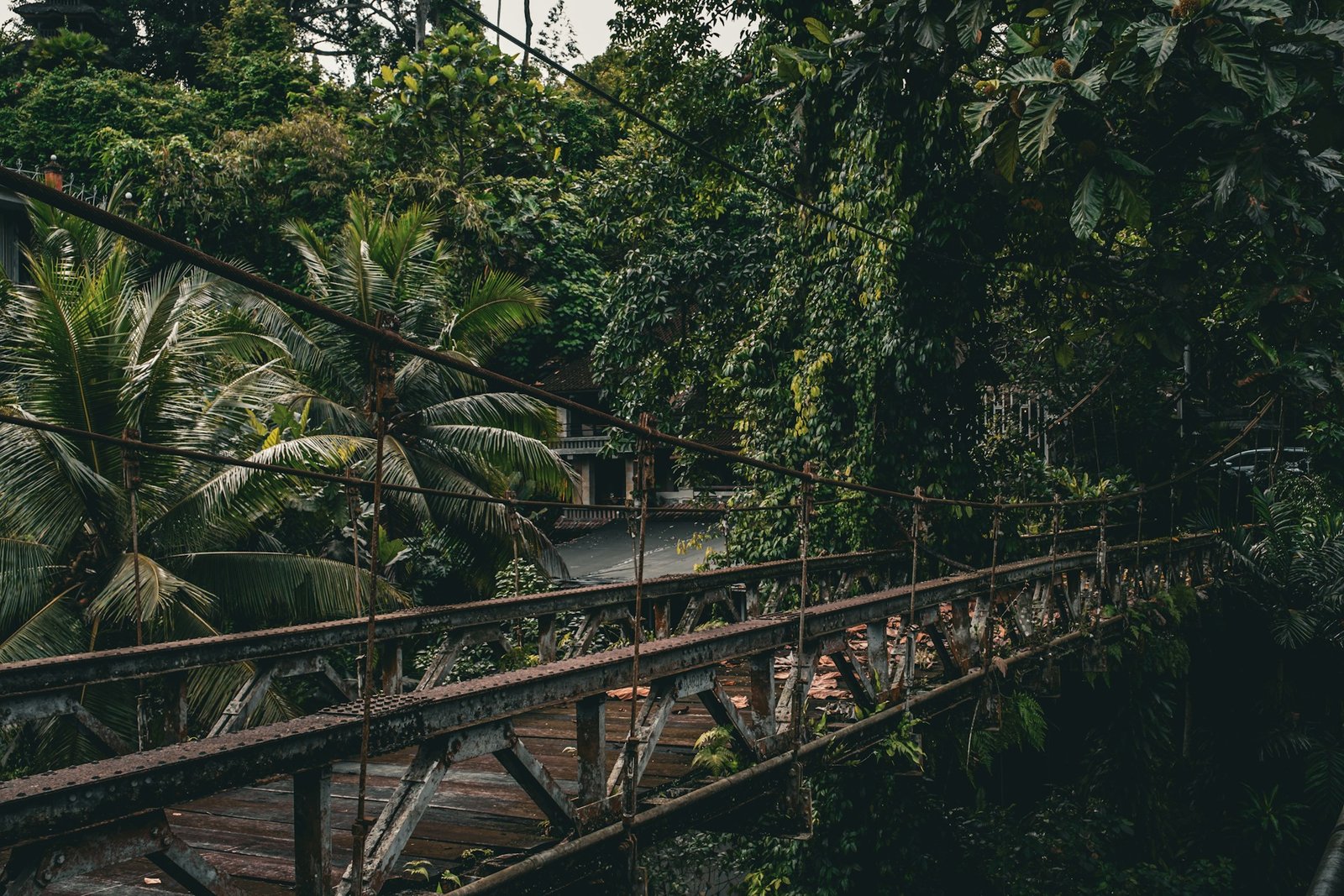 ari-dinar– Monkey Forest-bali-unsplash