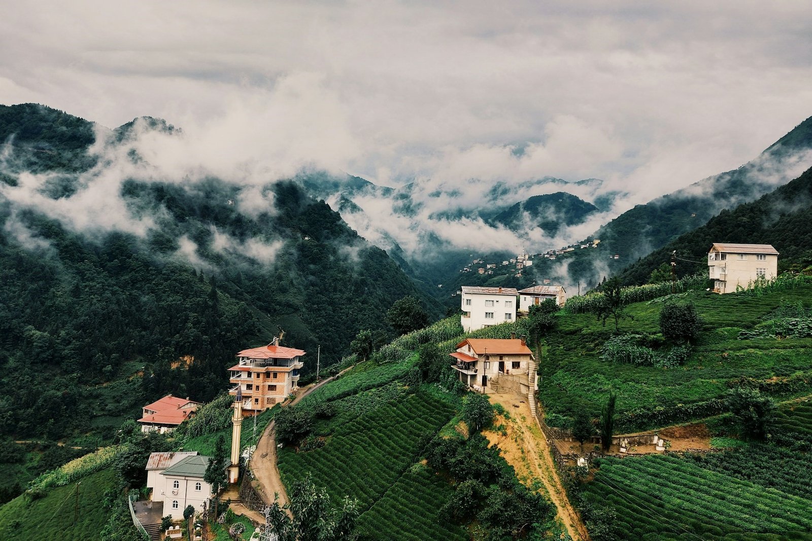 burcu-trabzon-3-unsplash