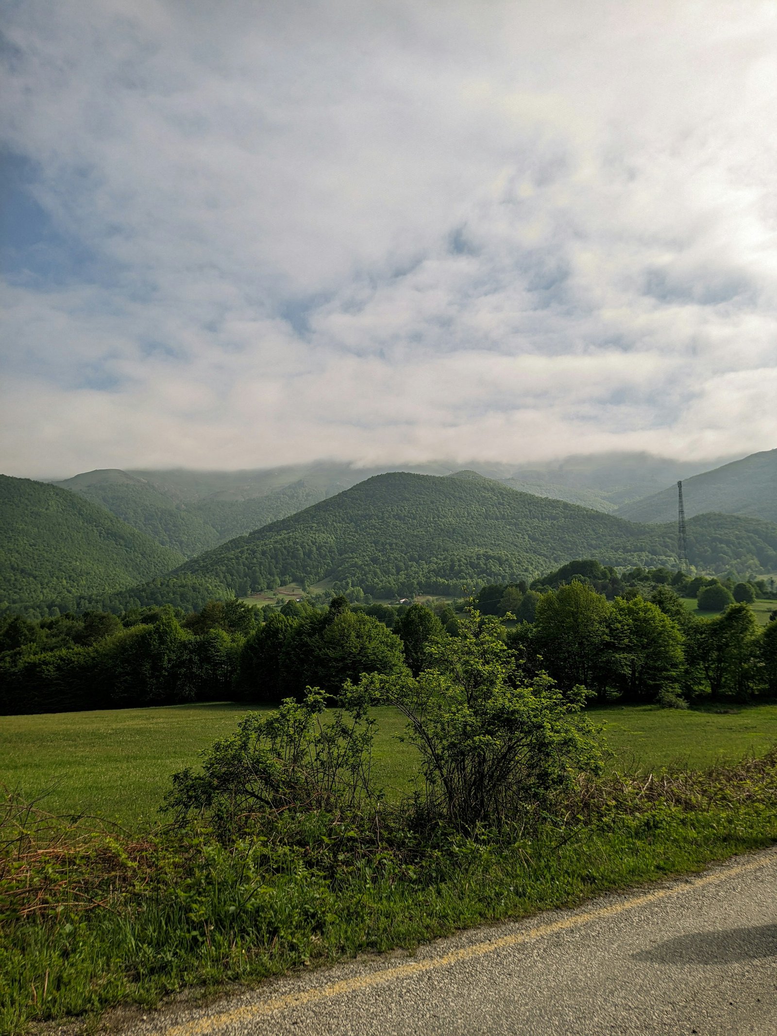 gulendam-afra-yasar-samsun-1-unsplash