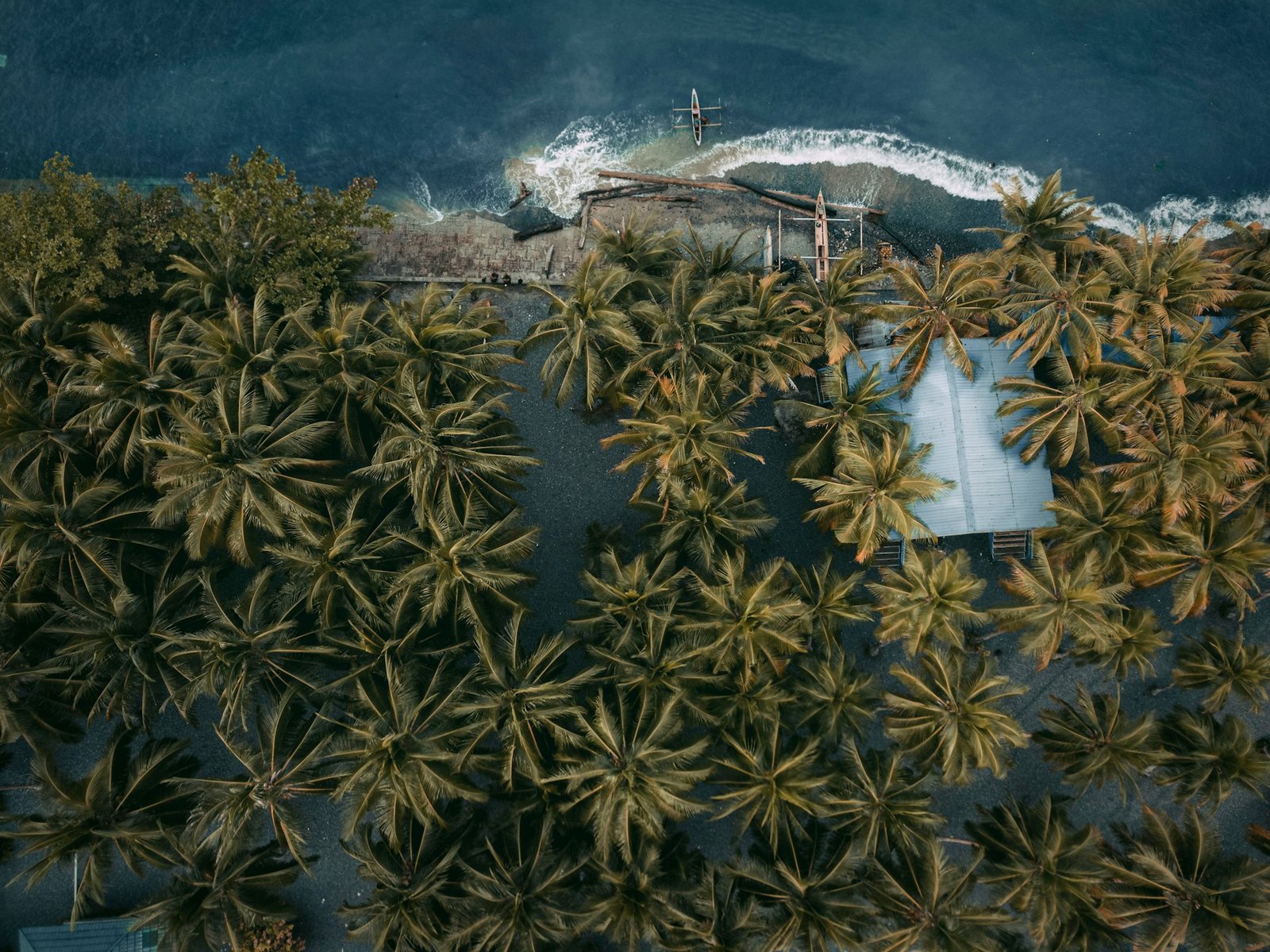 papua-new-guinea-asso-myron-photo-unsplash